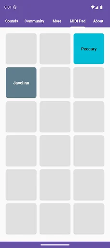 Download Pig Sounds Terbaru – Aplikasi Suara Babi Lucu Gratis - Screenshot 5