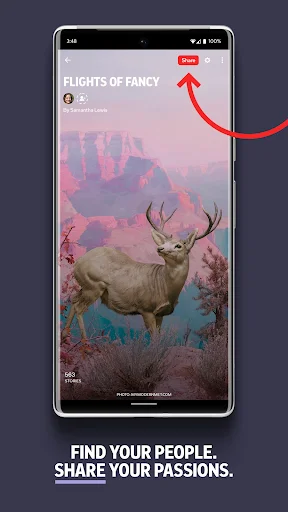 Download Flipboard Terbaru – Baca Berita & Artikel Terkini Gratis - Screenshot 5