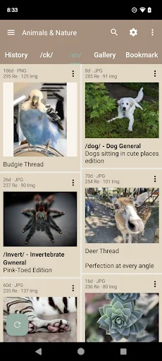 Download Read Chan Terbaru – Aplikasi Browser 4chan Terbaik - Screenshot 1