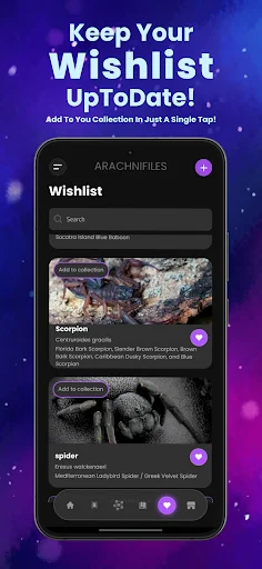 Download Arachnifiles: Pet Tracker Terbaru – Pantau Laba-laba Anda - Screenshot 6