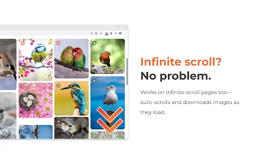 Download Grabit Image Downloader – Simpan Gambar Sekali Klik - Screenshot 5
