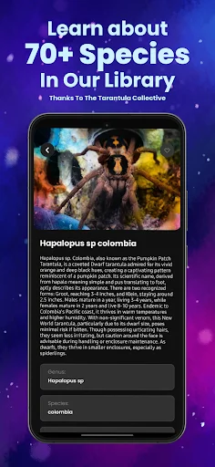Download Arachnifiles: Pet Tracker Terbaru – Pantau Laba-laba Anda - Screenshot 5
