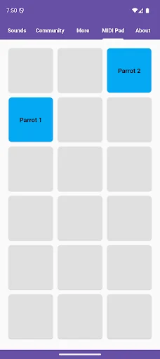 Download Parrot Sounds Terbaru – Suara Burung Keren Gratis - Screenshot 5