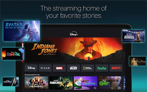 Download Disney+ APK Terbaru – Streaming Film & Serial Terbaik - Screenshot 8