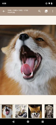 Download Read Chan Terbaru – Aplikasi Browser 4chan Terbaik - Screenshot 5