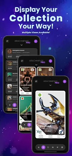Download Arachnifiles: Pet Tracker Terbaru – Pantau Laba-laba Anda - Screenshot 3