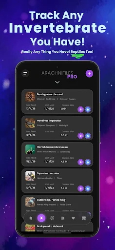Download Arachnifiles: Pet Tracker Terbaru – Pantau Laba-laba Anda - Screenshot 1