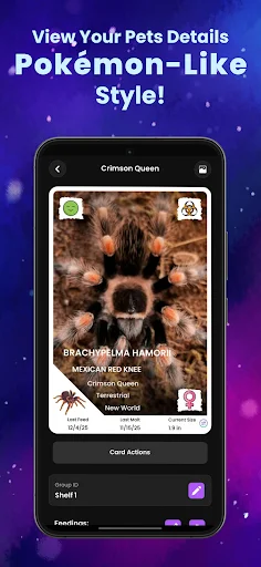 Download Arachnifiles: Pet Tracker Terbaru – Pantau Laba-laba Anda - Screenshot 4