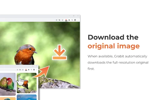 Download Grabit Image Downloader – Simpan Gambar Sekali Klik - Screenshot 3